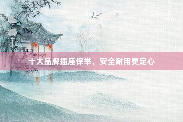 十大品牌插座保举，安全耐用更定心