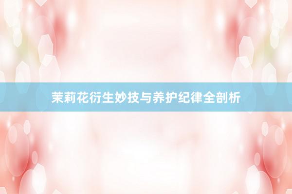 茉莉花衍生妙技与养护纪律全剖析