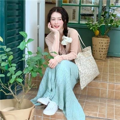 魔法使的新娘 西之少年与青岚的骑士